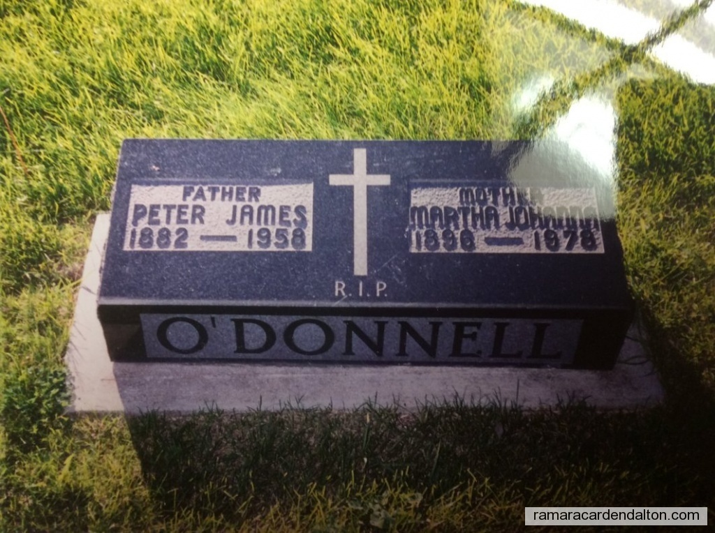 Photo of the day 3728 - Photo of the day