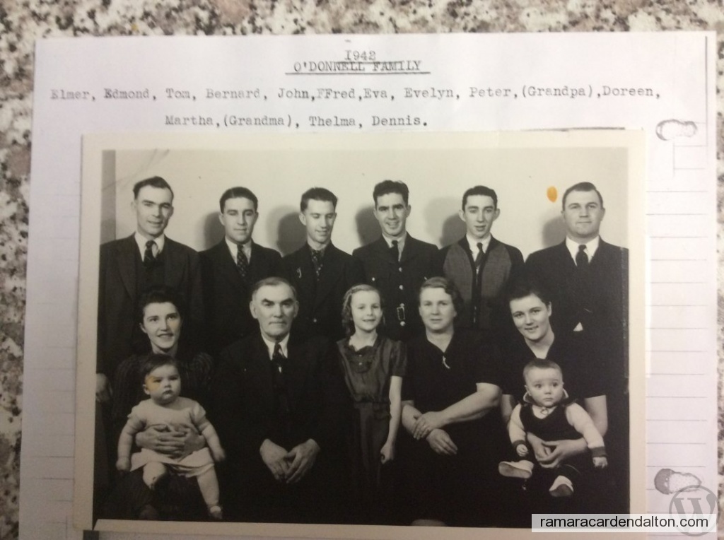 Photo of the day 3729 - Photo of the day