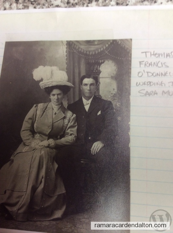 Photo of the day 3730 - Photo of the day