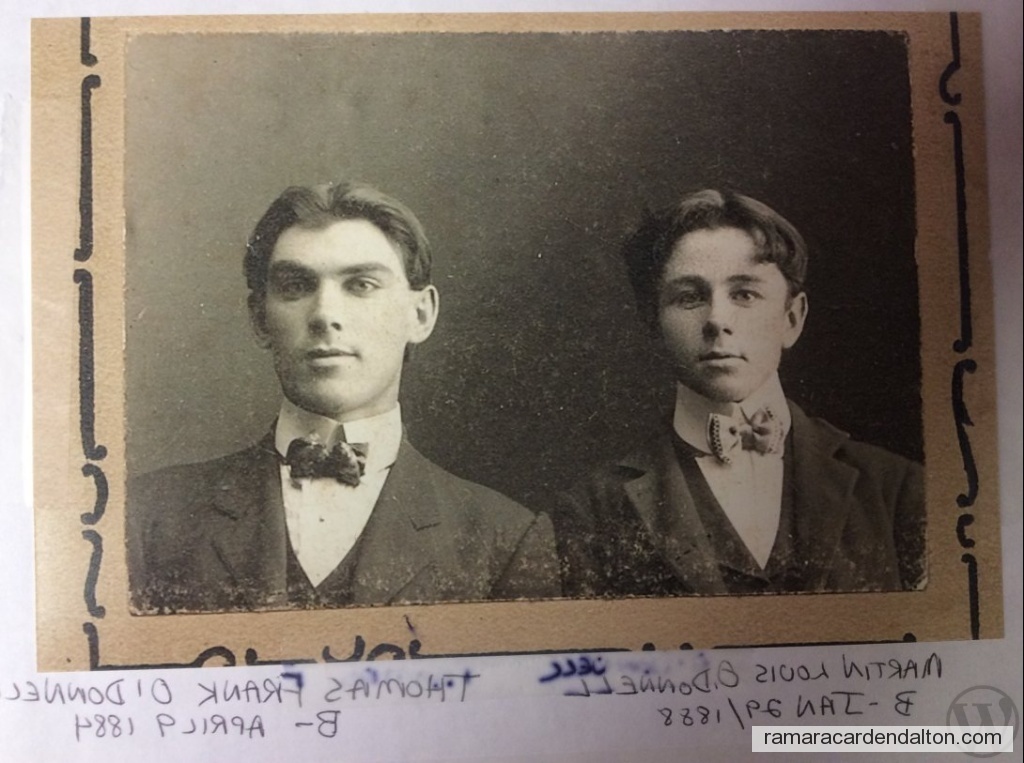 Photo of the day 3731 - Photo of the day