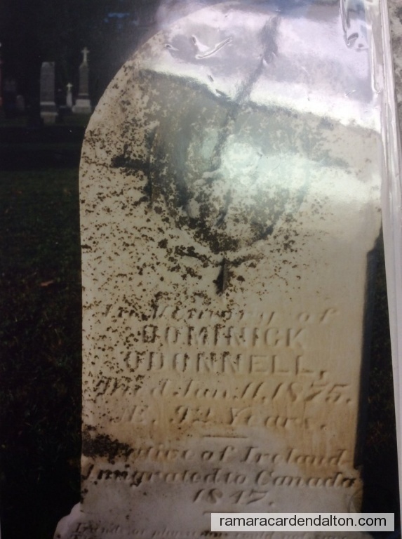 Photo of the day 3732 - Photo of the day