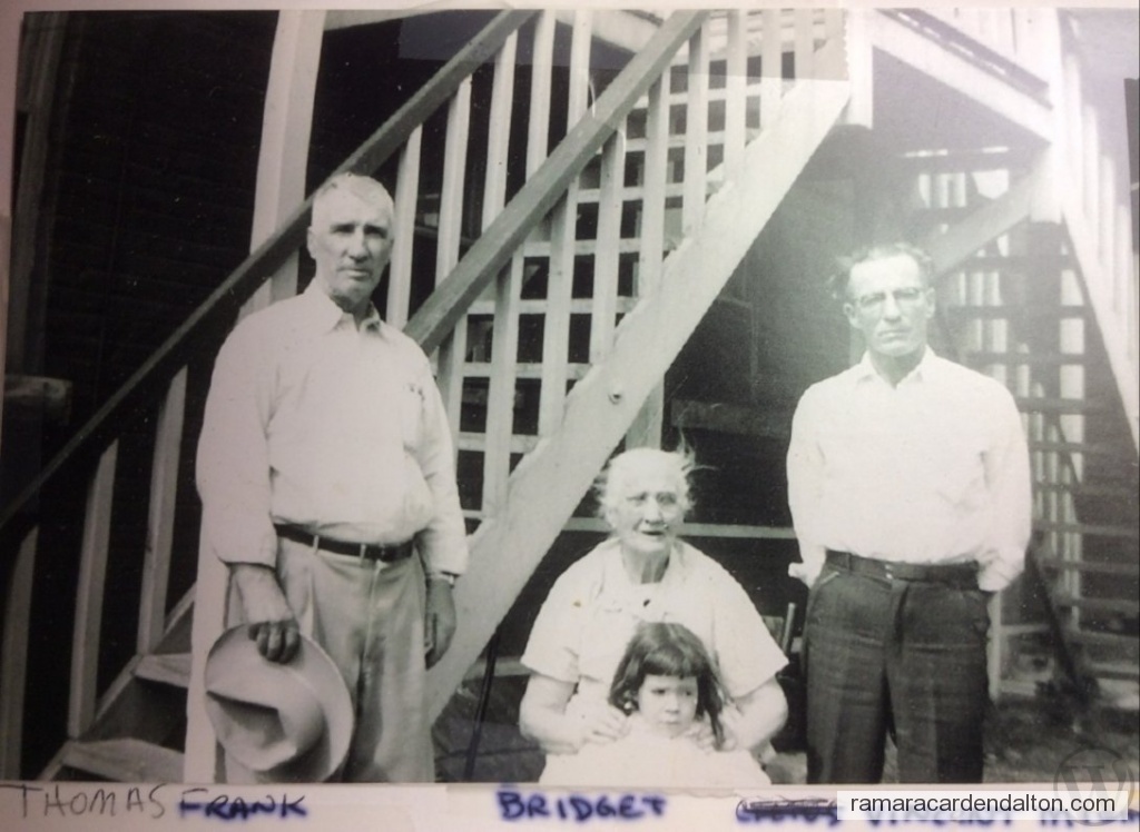 Photo of the day 3733 - Photo of the day