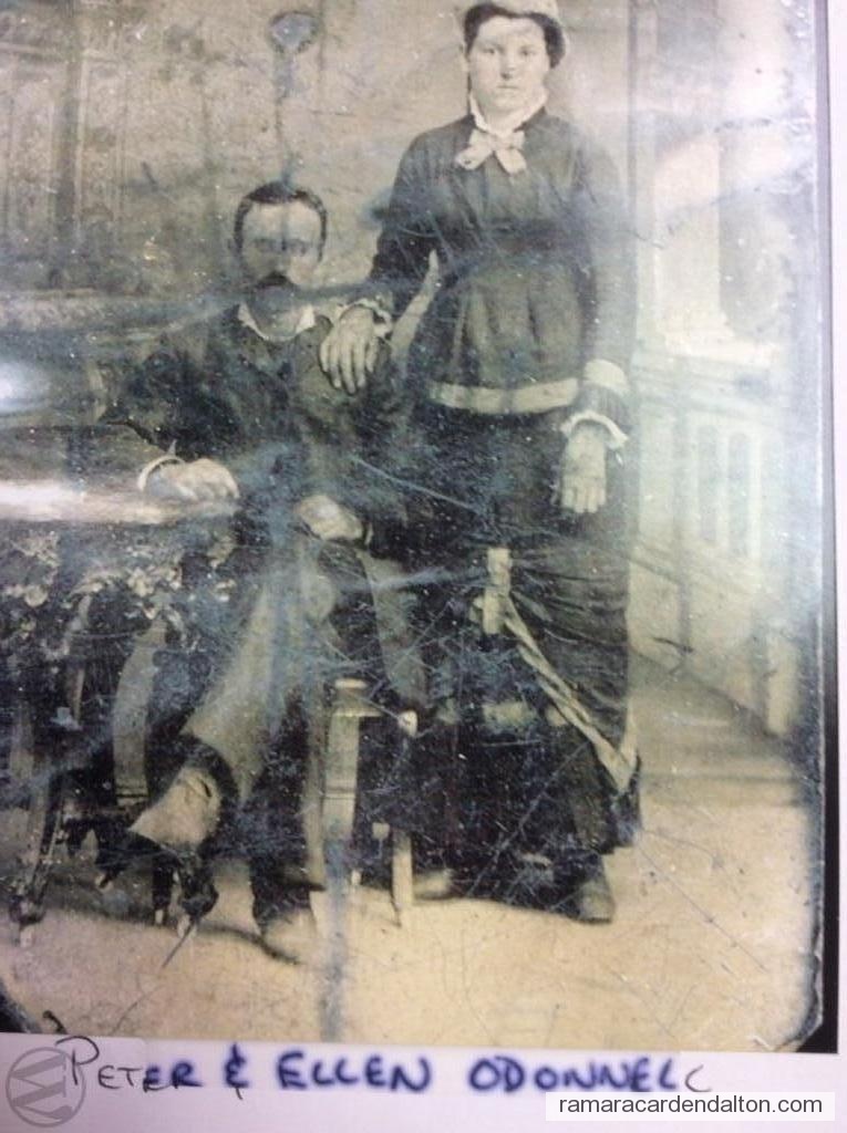 Photo of the day 3735 - Photo of the day