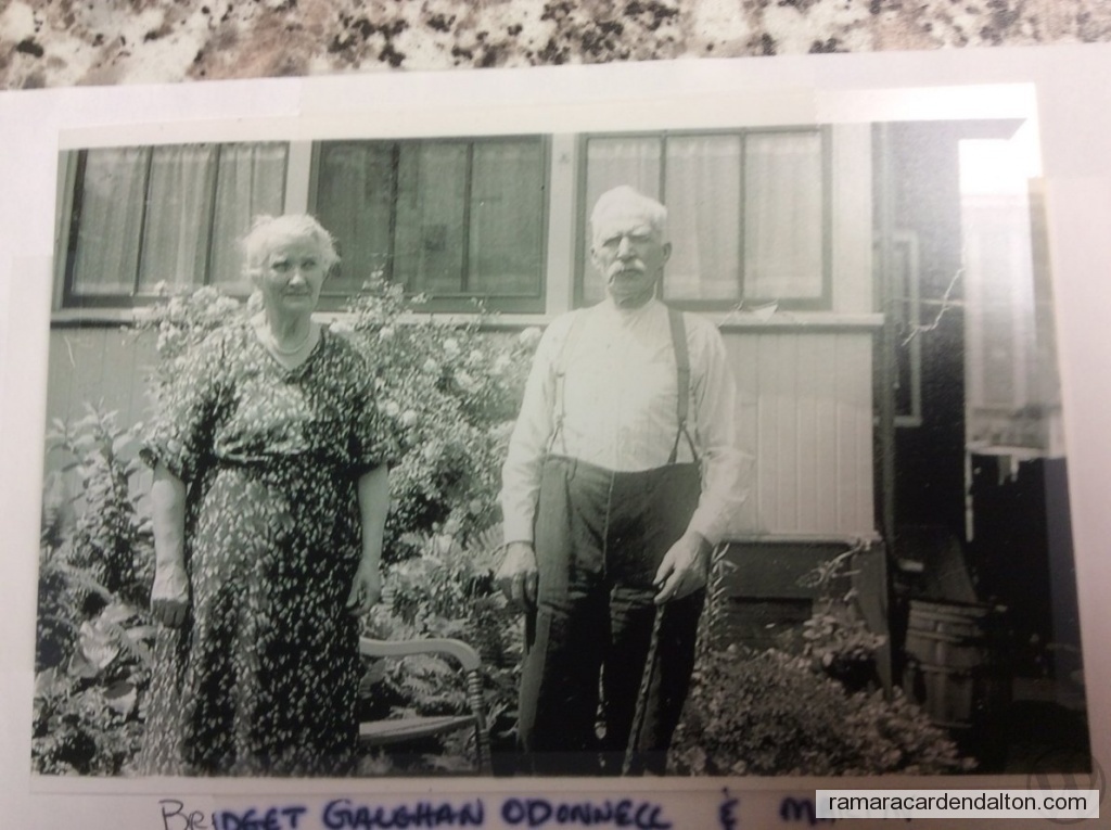 Photo of the day 3736 - Photo of the day