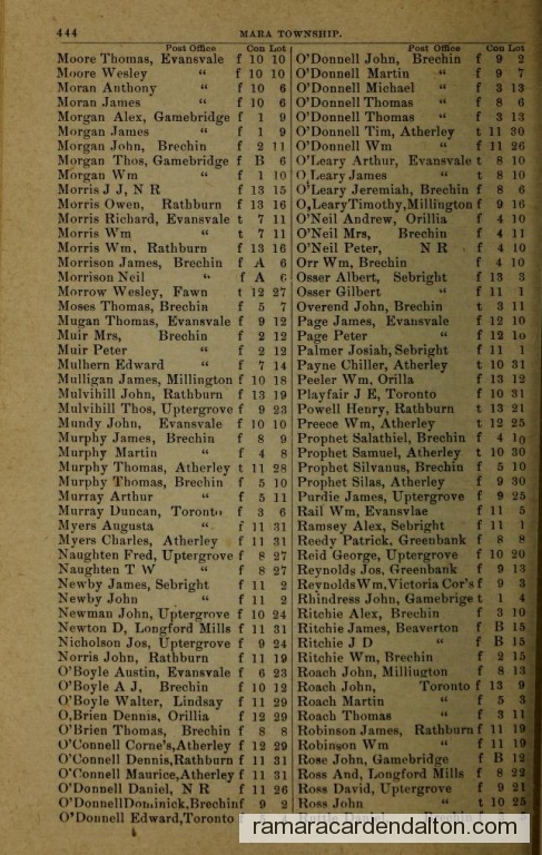 Photo of the day 3742 - Photo of the day