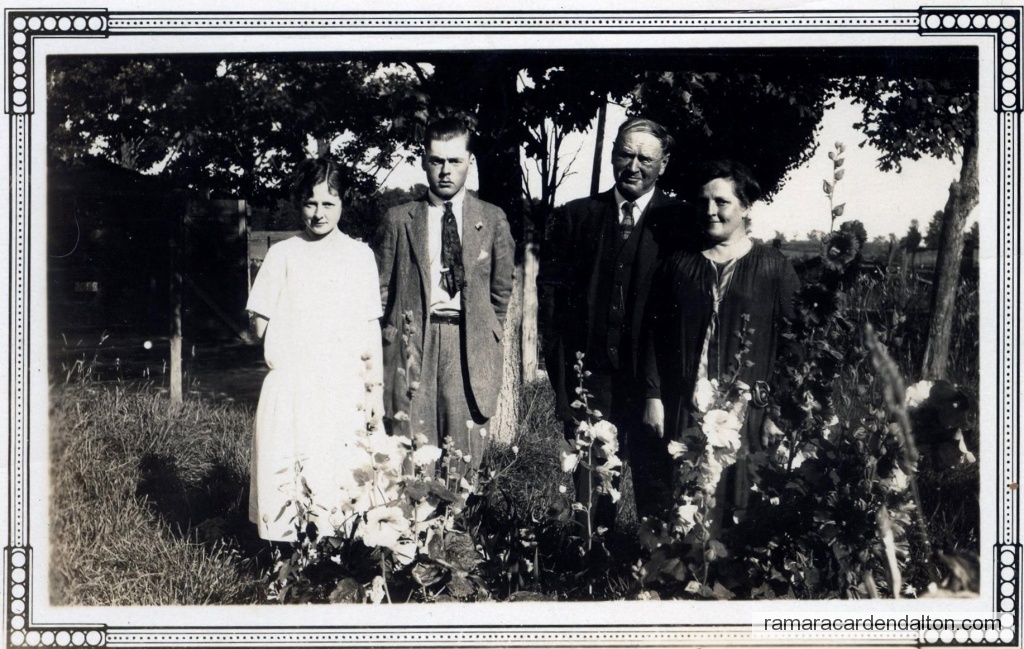 Photo of the day 3774 - Photo of the day