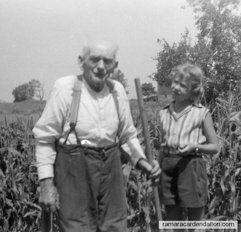 Photo of the day 3776 - Photo of the day