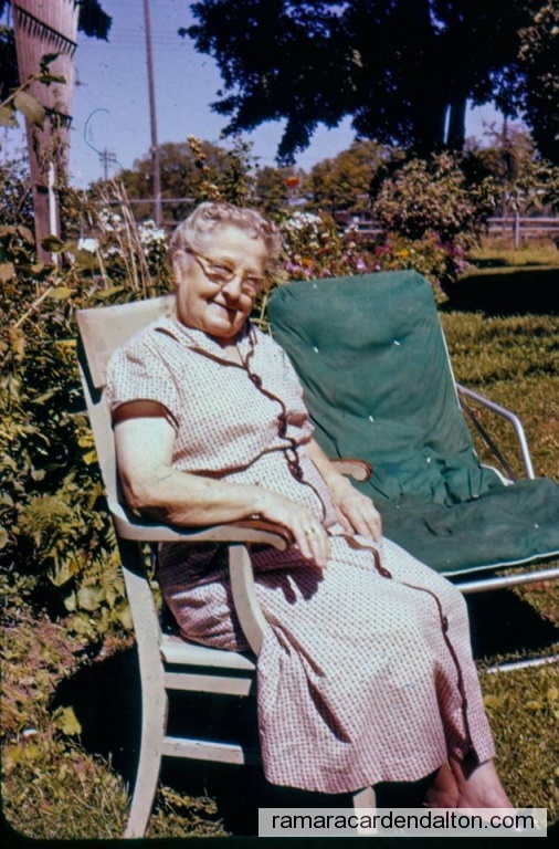 Photo of the day 3777 - Photo of the day