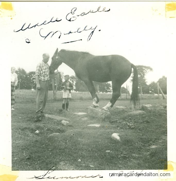 Photo of the day 3779 - Photo of the day