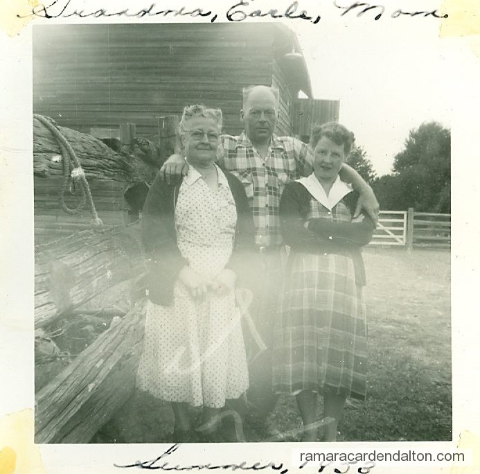 Photo of the day 3781 - Photo of the day