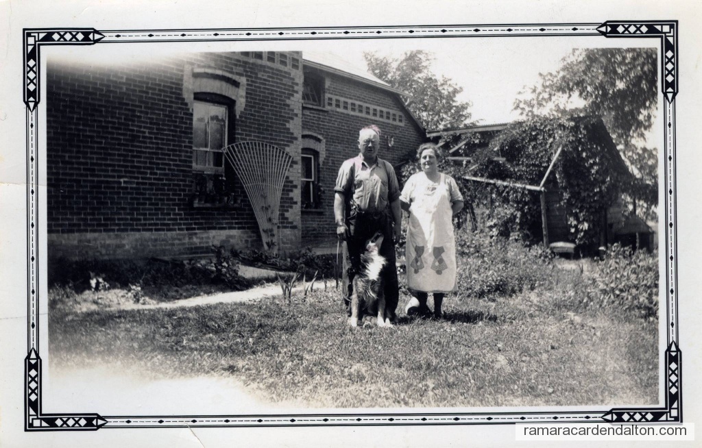 Photo of the day 3782 - Photo of the day