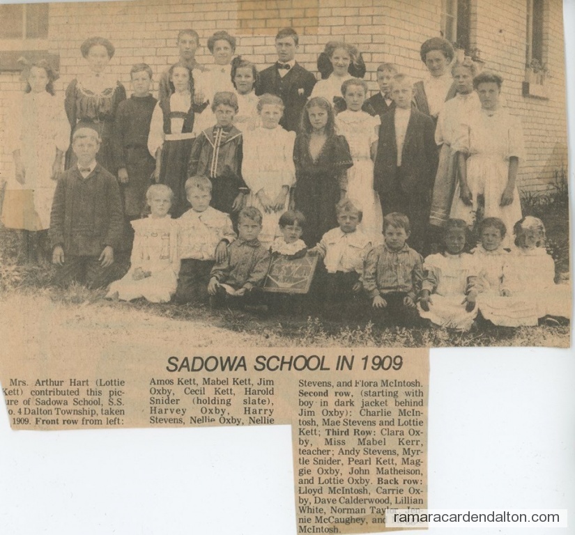 Photo of the day 3788 - Photo of the day