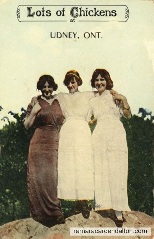 Photo of the day 3796 - Photo of the day