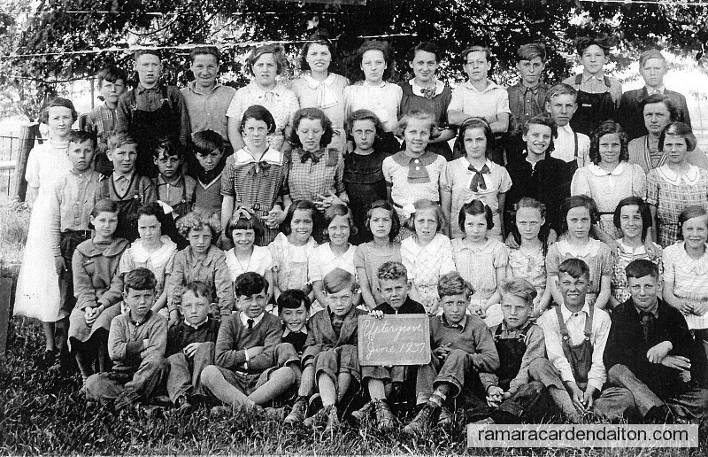 Photo of the day 380 - Photo of the day