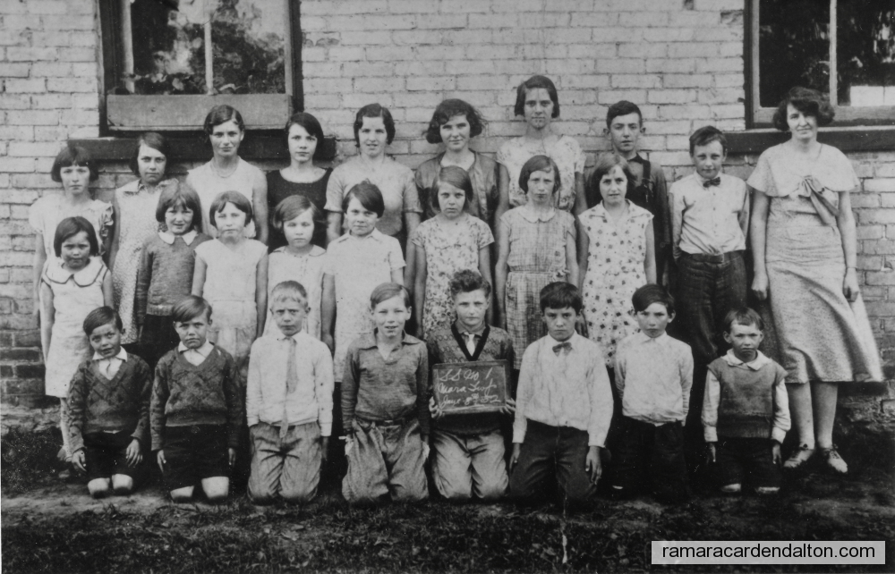 Photo of the day 3847 - Photo of the day