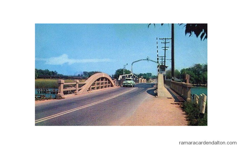 Photo of the day 3861 - Photo of the day