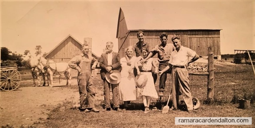 Photo of the day 3869 - Photo of the day