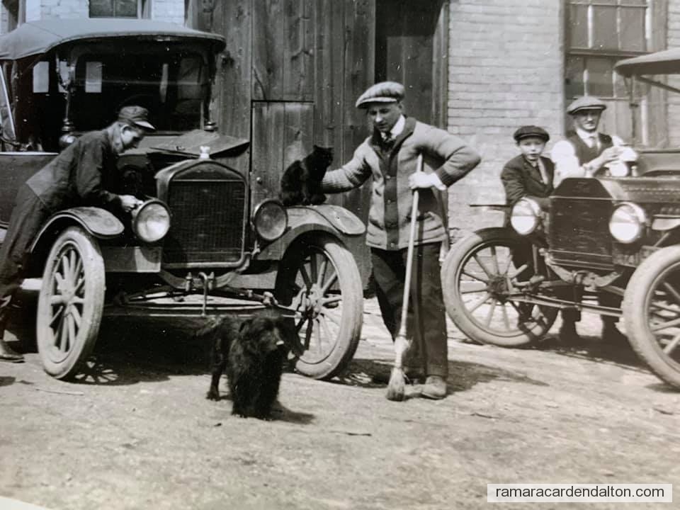 Photo of the day 3874 - Photo of the day