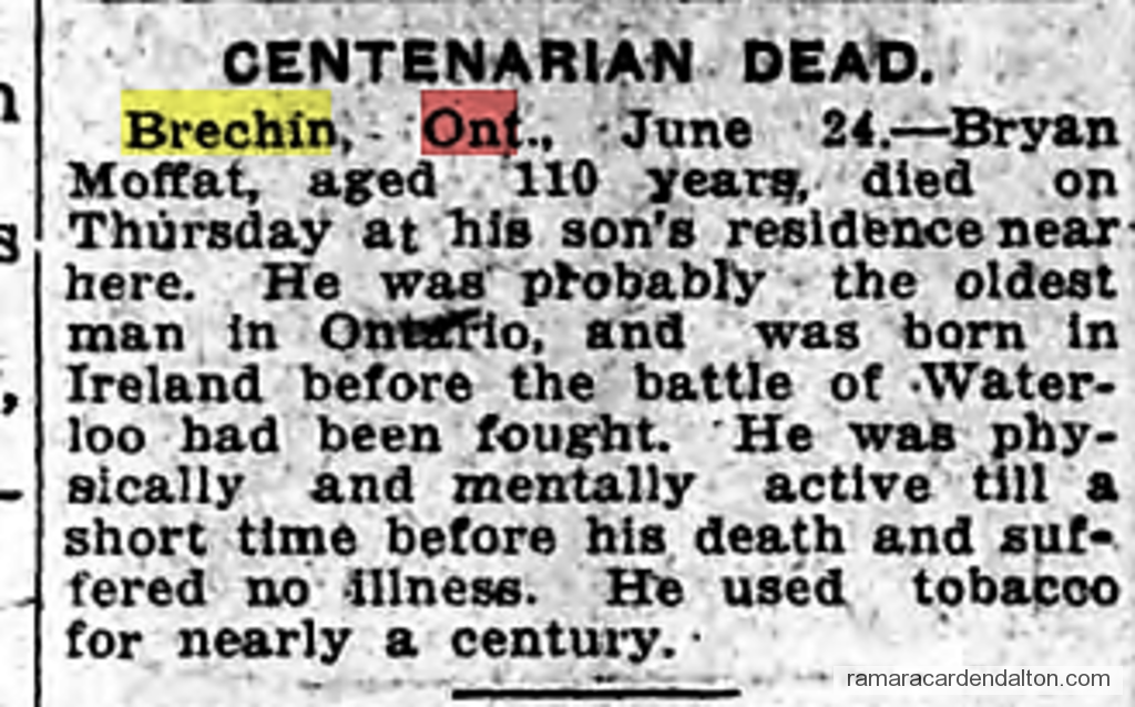 Photo of the day 3891 - Photo of the day