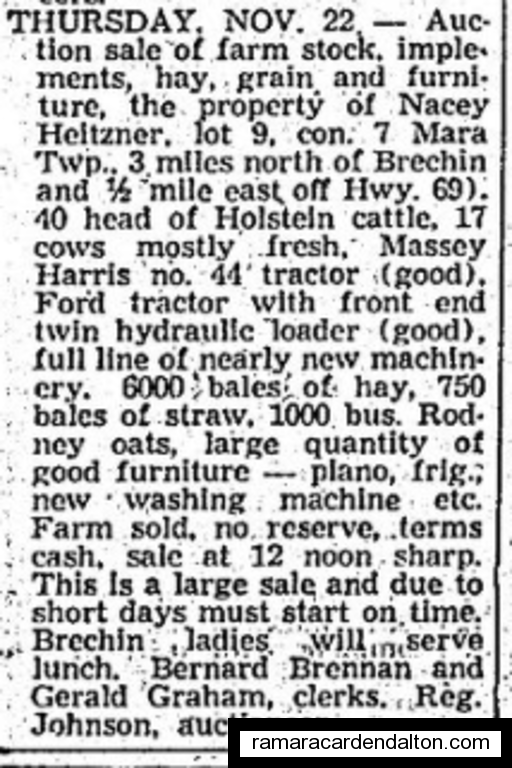 Photo of the day 3899 - Photo of the day