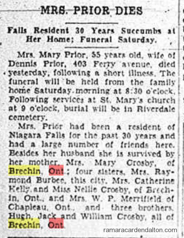 Photo of the day 3904 - Photo of the day