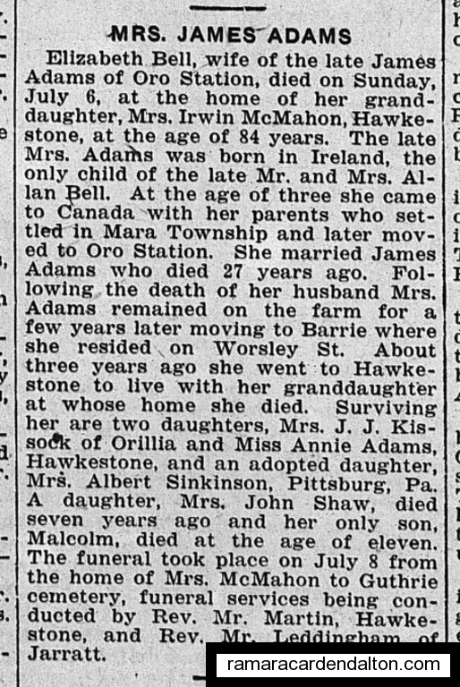 Photo of the day 3908 - Photo of the day