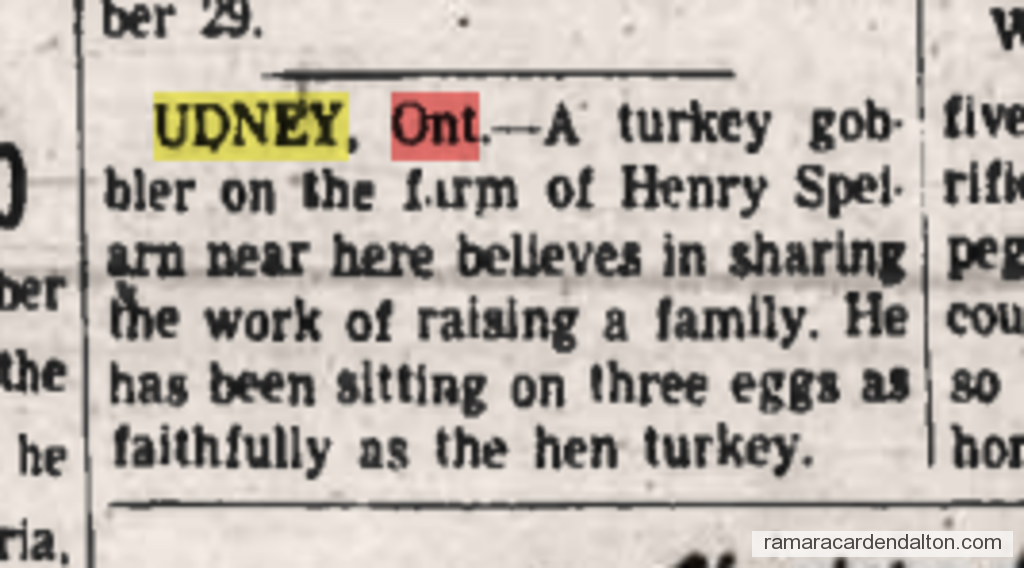 Photo of the day 3910 - Photo of the day