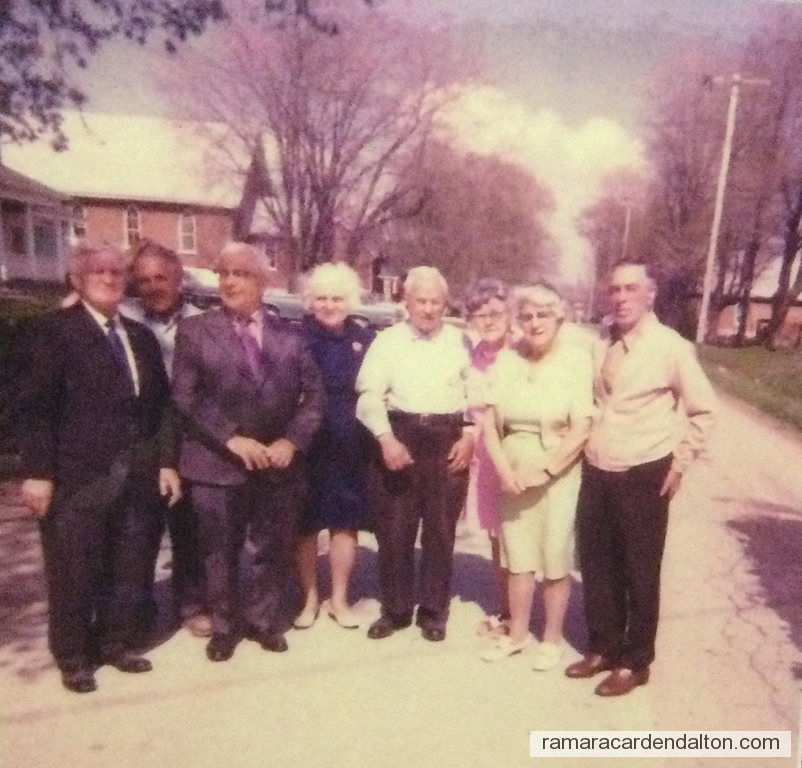 Photo of the day 3924 - Photo of the day