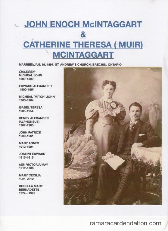 Photo of the day 3934 - Photo of the day