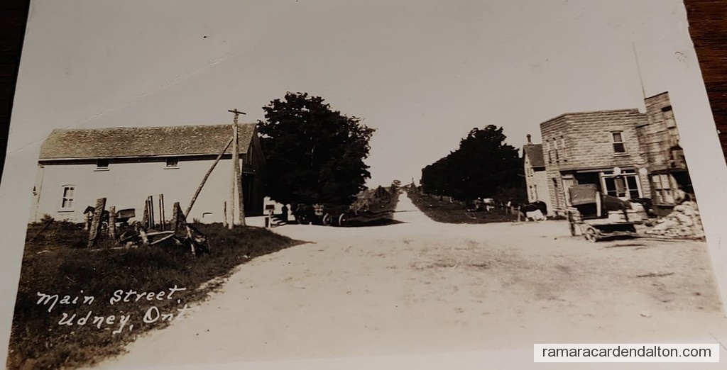 Photo of the day 3946 - Photo of the day