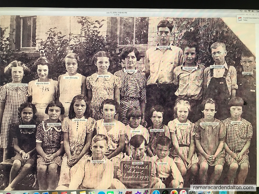 Photo of the day 3989 - Photo of the day