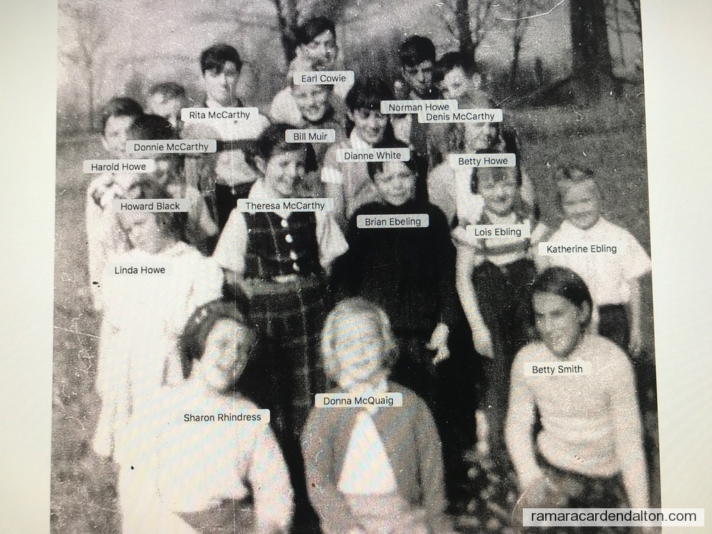 Photo of the day 3990 - Photo of the day