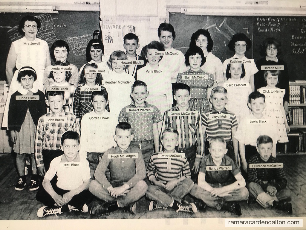 Photo of the day 3995 - Photo of the day