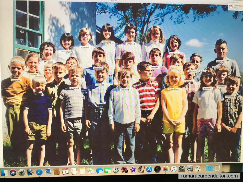 Photo of the day 3998 - Photo of the day