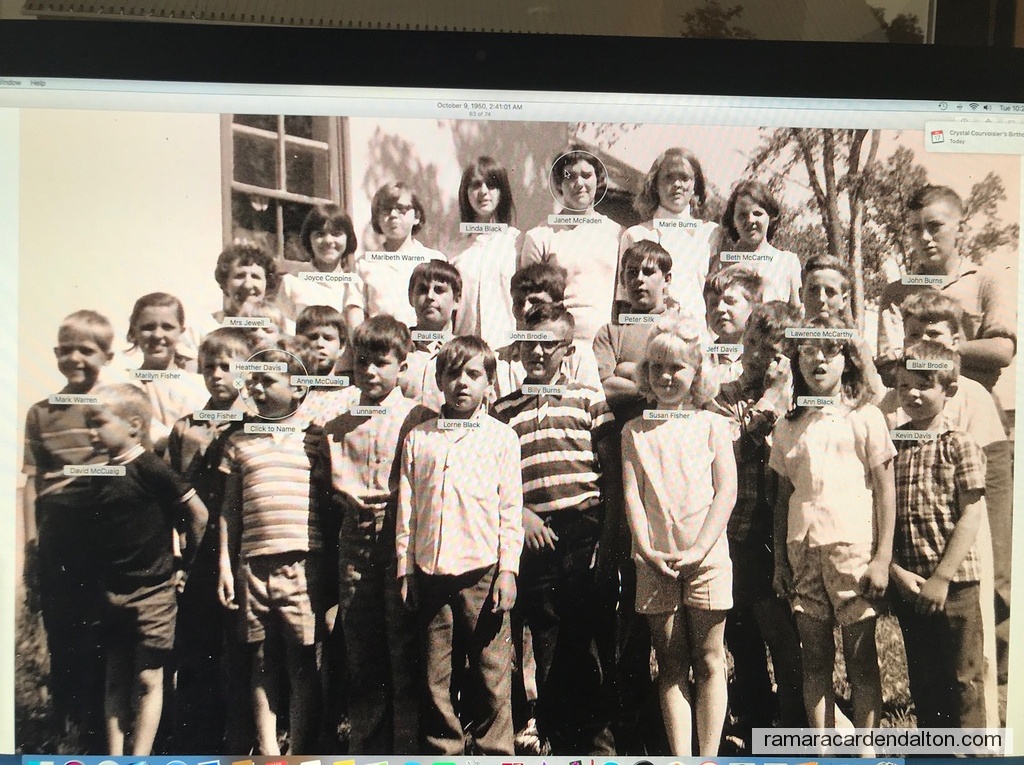 Photo of the day 4001 - Photo of the day