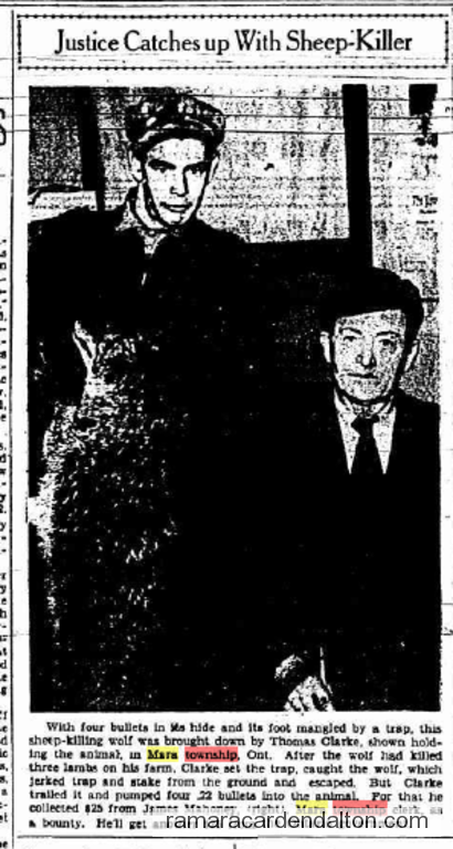 Photo of the day 4005 - Photo of the day