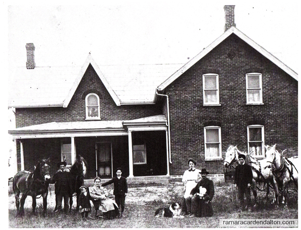 Photo of the day 4035 - Photo of the day