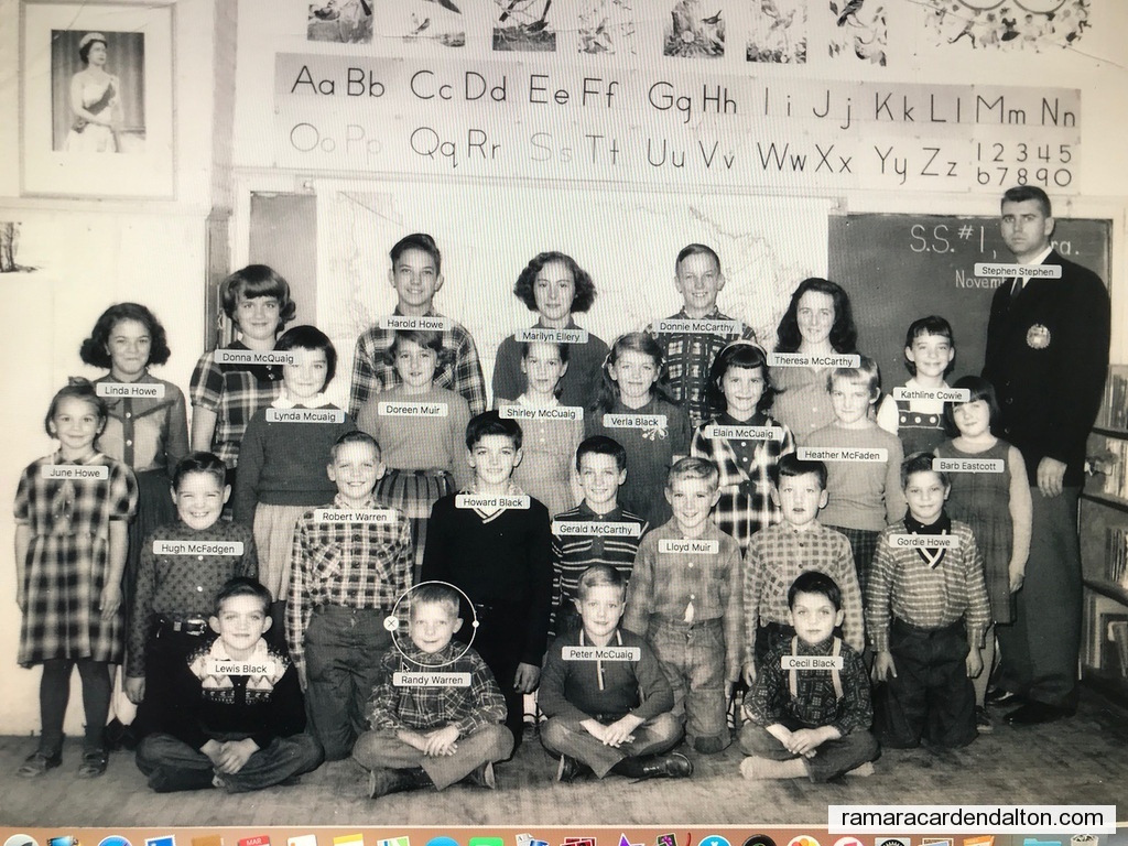 Photo of the day 4044 - Photo of the day