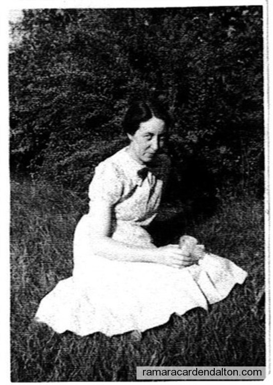 Photo of the day 4062 - Photo of the day