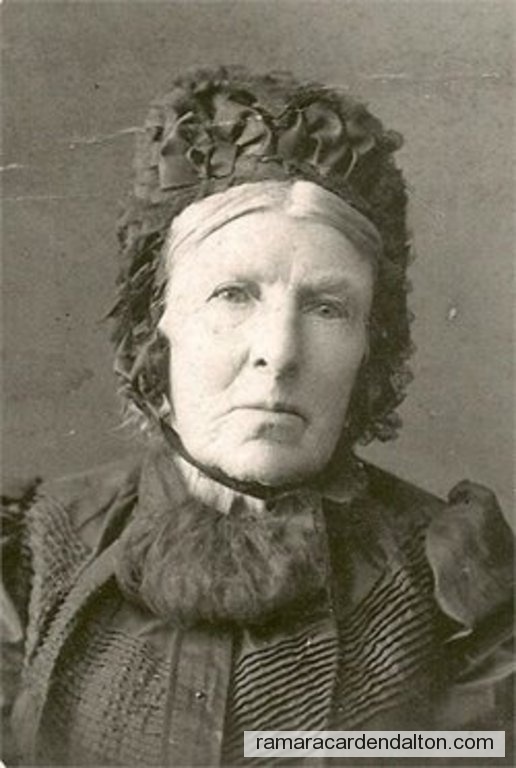 Photo of the day 4111 - Photo of the day