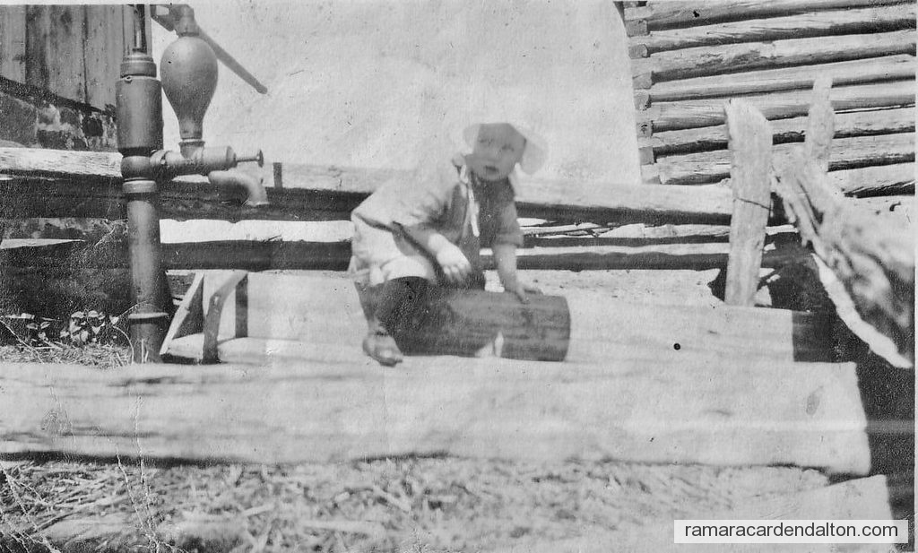 Photo of the day 4167 - Photo of the day