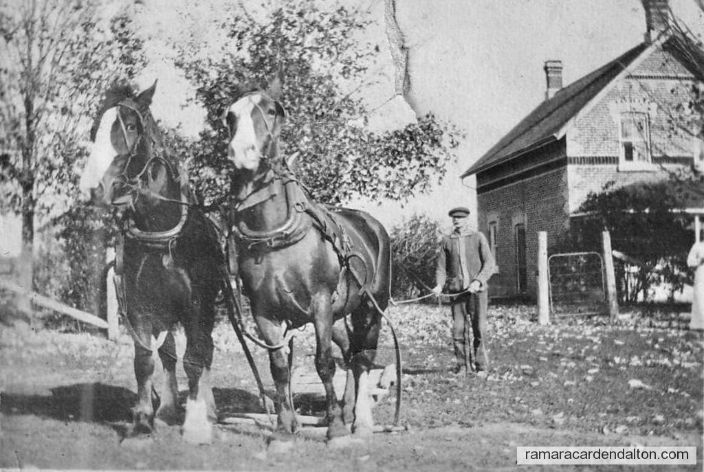 Photo of the day 4168 - Photo of the day