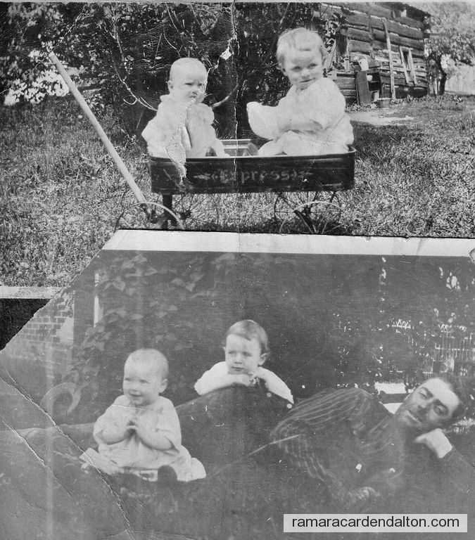 Photo of the day 4171 - Photo of the day