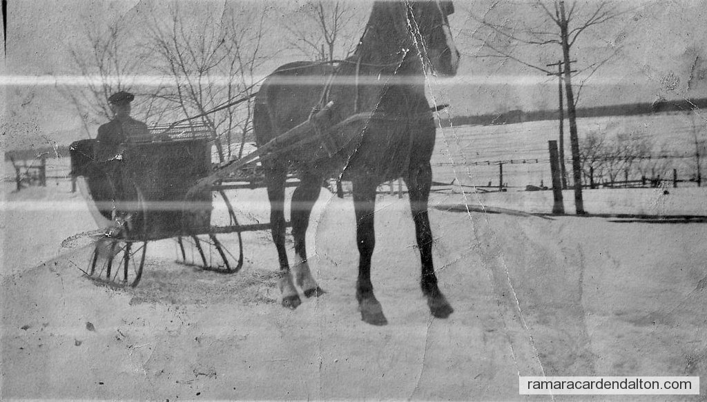 Photo of the day 4183 - Photo of the day