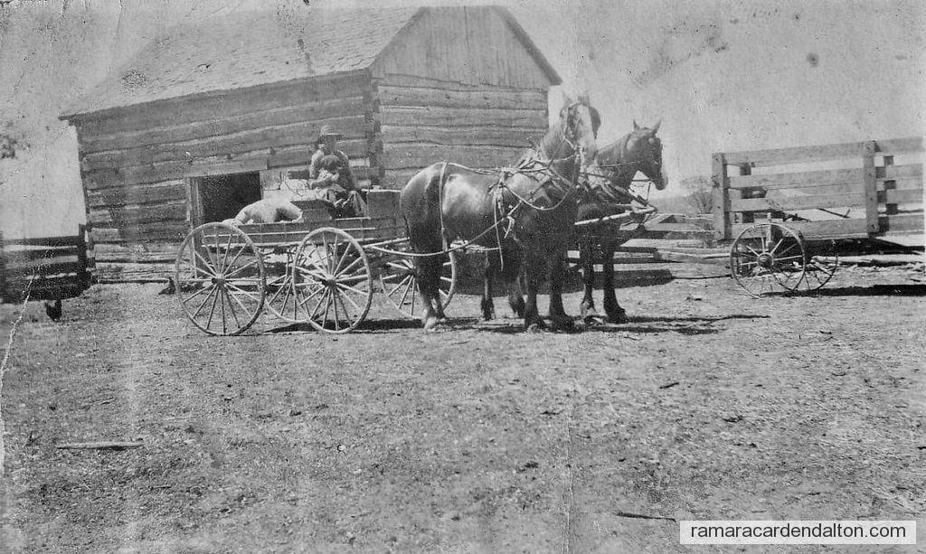 Photo of the day 4197 - Photo of the day