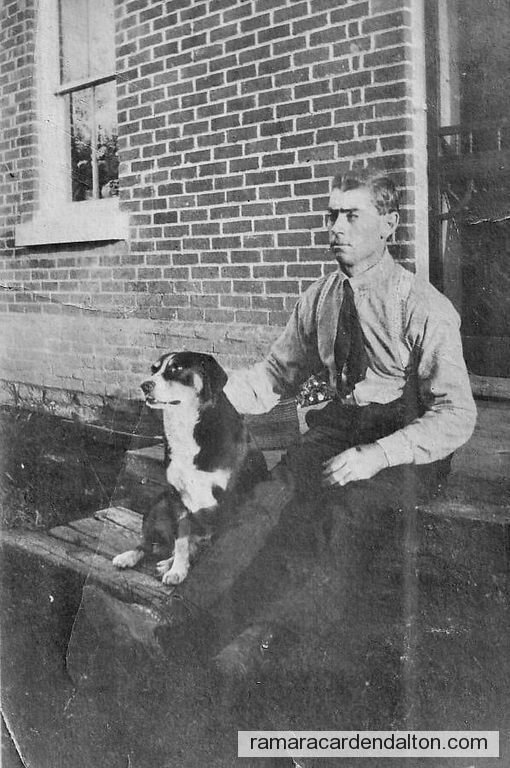 Photo of the day 4202 - Photo of the day