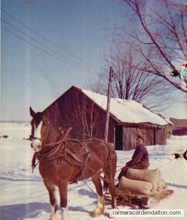 Photo of the day 4207 - Photo of the day