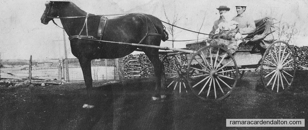 Photo of the day 4210 - Photo of the day