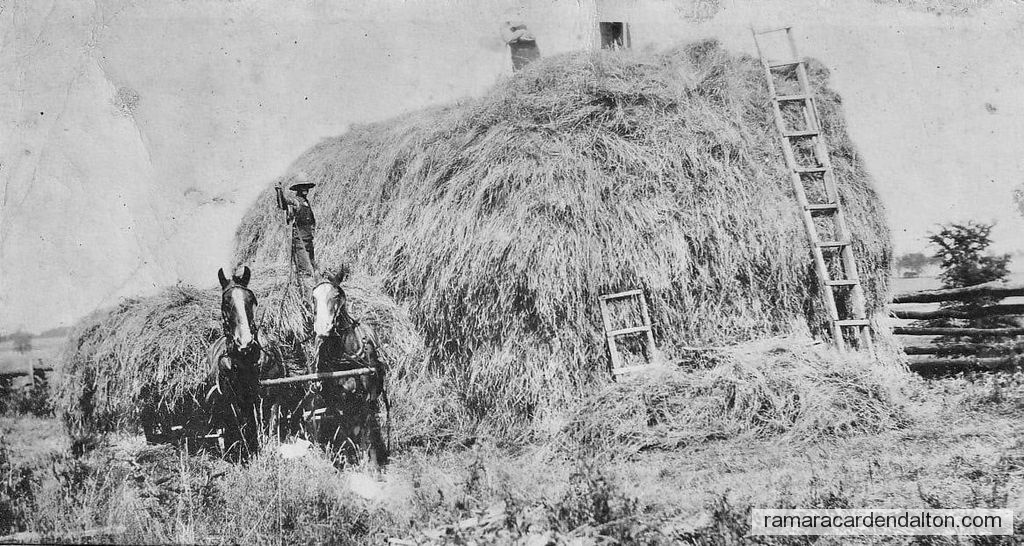 Photo of the day 4215 - Photo of the day