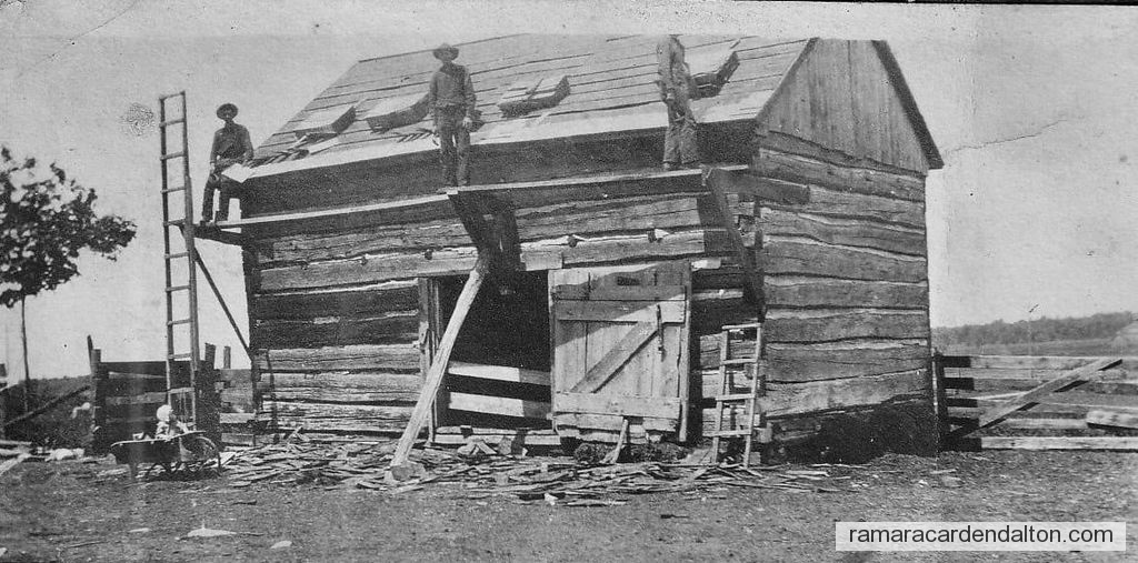 Photo of the day 4247 - Photo of the day